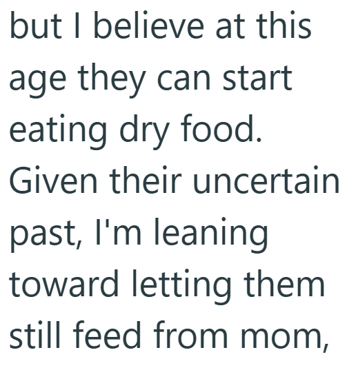but I believe at this age they can start eating dry food. Given their uncertain past, I'm leaning toward letting them still feed from mom,