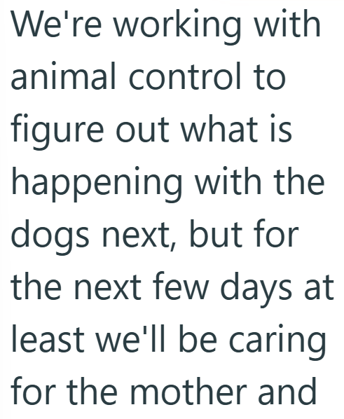 We're working with animal control to figure out what is happening with the dogs next, but for the next few days at least we'll be caring for the mother and
