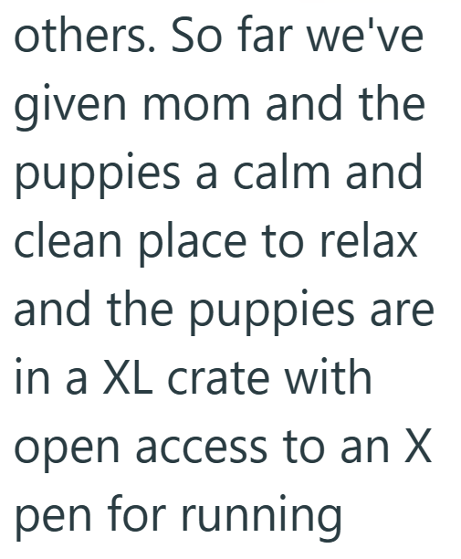 others. So far we've given mom and the puppies a calm and clean place to relax and the puppies are in a XL crate with open access to an X pen for running