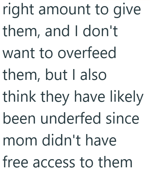 right amount to give them, and I don't want to overfeed them, but I also think they have likely been underfed since mom didn't have free access to them