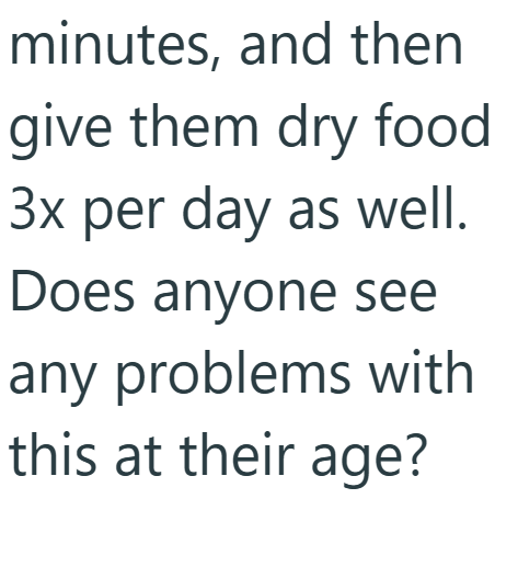 minutes, and then give them dry food 3x per day as well. Does anyone see any problems with this at their age?