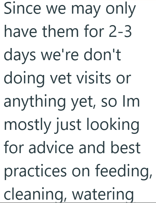 Since we may only have them for 2-3 days we're don't doing vet visits or anything yet, so Im mostly just looking for advice and best practices on feeding, cleaning, watering