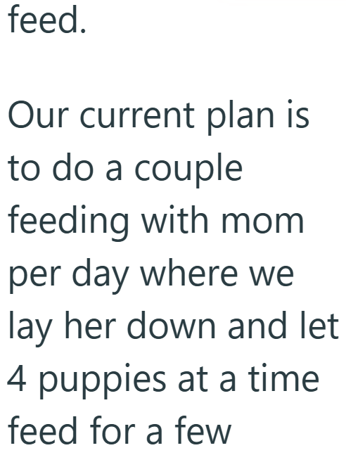 feed. Our current plan is to do a couple feeding with mom per day where we lay her down and let 4 puppies at a time feed for a few
