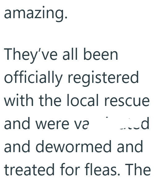 amazing. They've all been officially registered with the local rescue and were va _d and dewormed and treated for fleas. The
