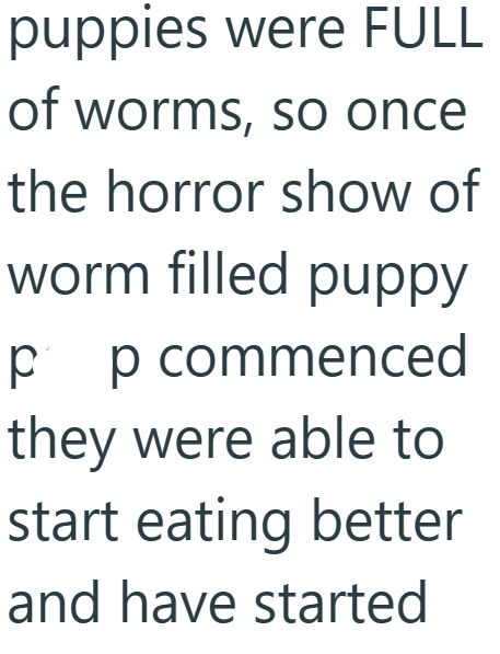 puppies were FULL of worms, so once the horror show of worm filled puppy pp commenced they were able to start eating better and have started