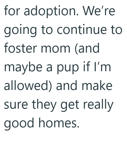 for adoption. We're going to continue to foster mom (and maybe a pup if I'm allowed) and make sure they get really good homes.