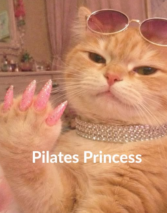 Pilates Princess