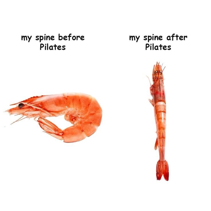 my spine before Pilates my spine after Pilates