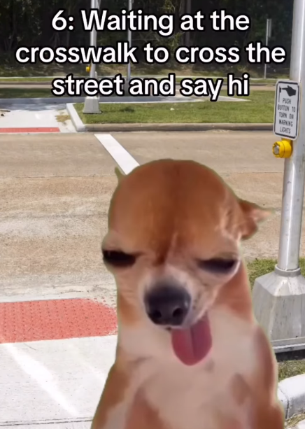6: Waiting at the crosswalk to cross the street and say hi PUSH TUPN ON WING LIGHTS