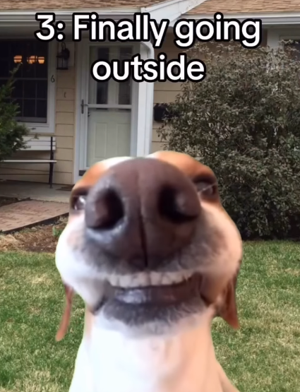3: Finally going outside