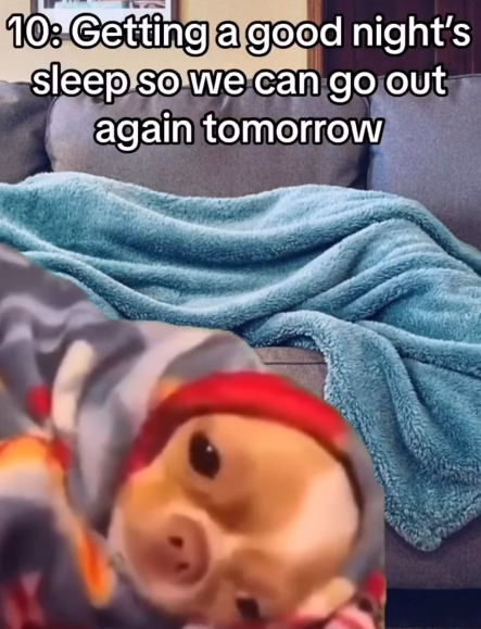 10: Getting a good night's sleep so we can go out again tomorrow