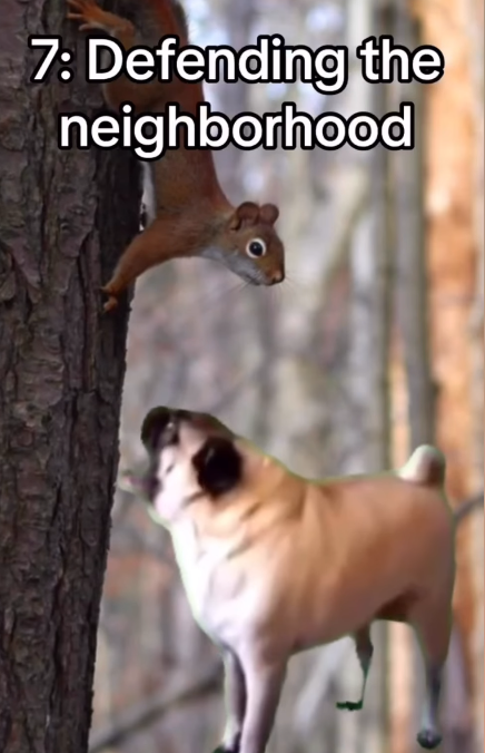 7: Defending the neighborhood