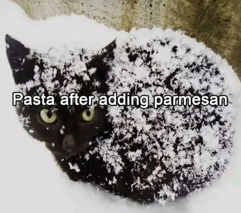 Pasta after adding parmesan