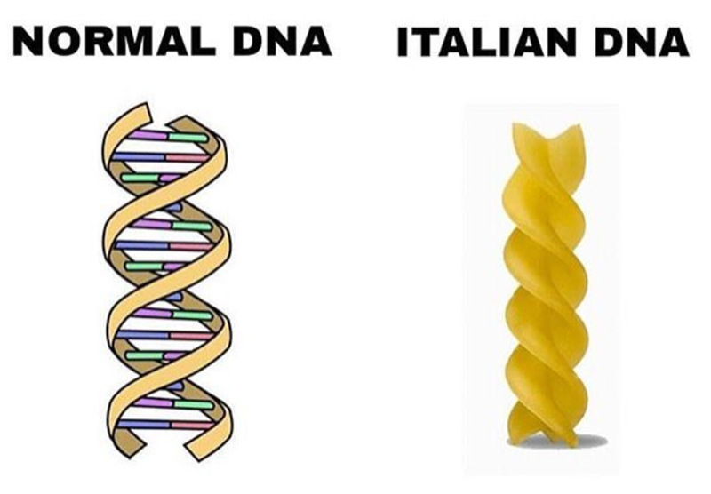 NORMAL DNA ITALIAN DNA