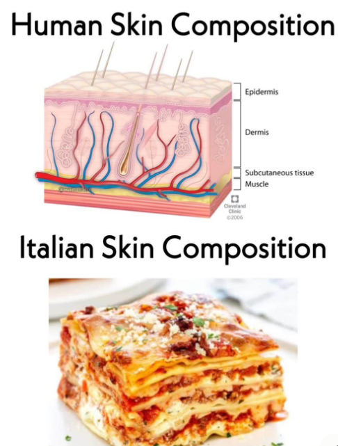 Human Skin Composition Cleveland Clinic ©2006 Epidermis Dermis Subcutaneous tissue Muscle Italian Skin Composition