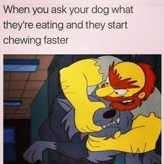 When you ask your dog what they're eating and they start chewing faster
