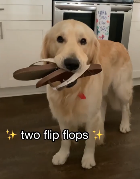 two flip flops ++ you "me" Che ras &