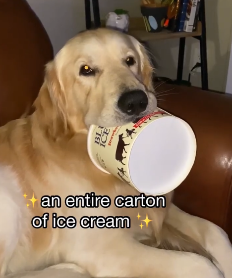 BL ICE Strawb an entire carton of ice cream