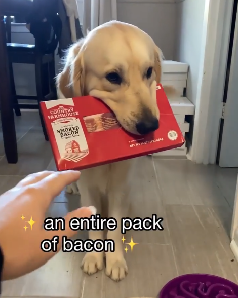 COUNTRY FARMHOUSE SMOKED BACON NET WT 16 GZ (LR) 454g ++an entire pack of bacon++
