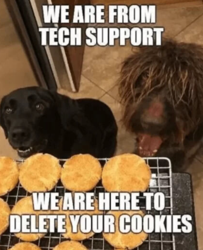 WE ARE FROM TECH SUPPORT WE ARE HERE TO DELETE YOUR COOKIES