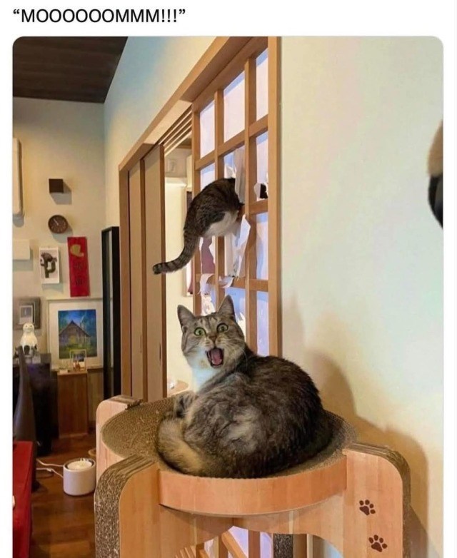 "MOOOOOOMMM!!!"