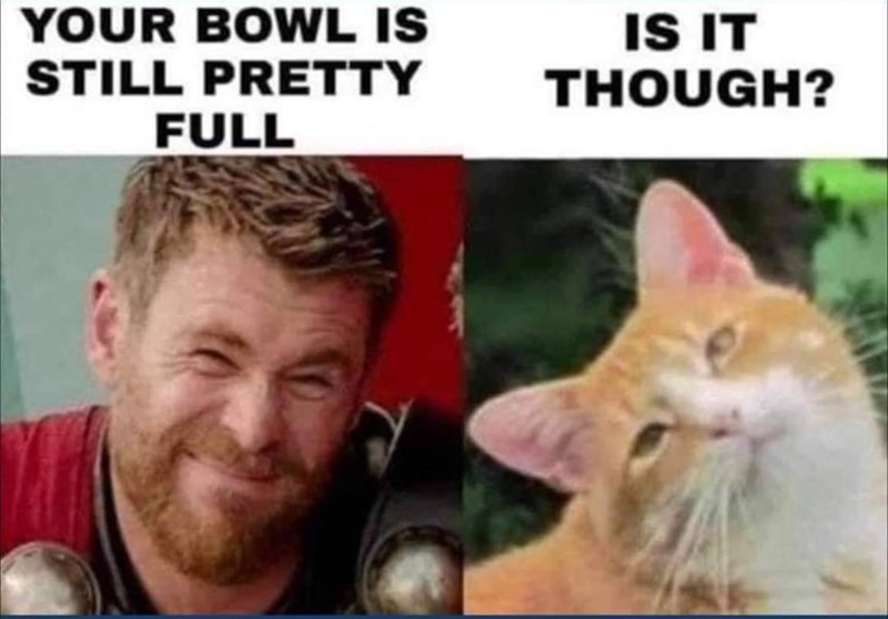 YOUR BOWL IS STILL PRETTY FULL IS IT THOUGH?