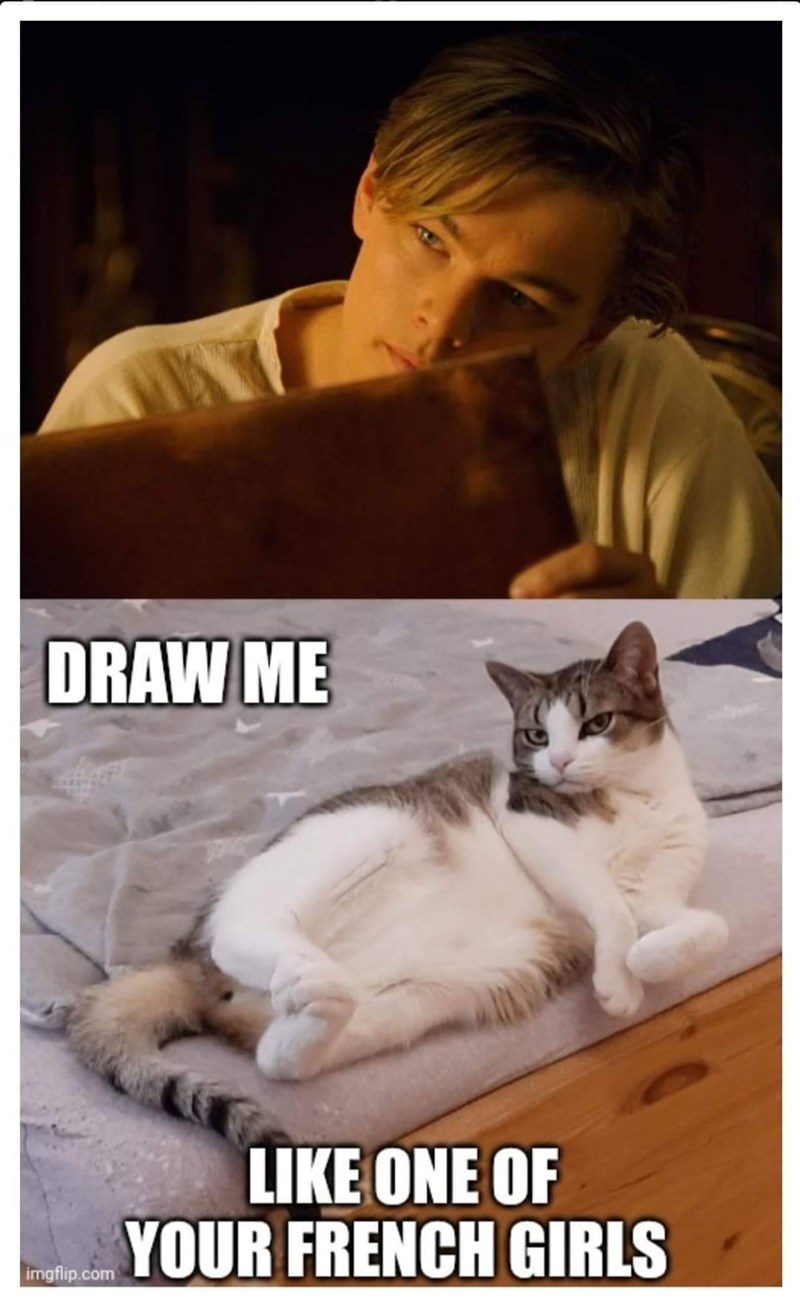 DRAW ME LIKE ONE OF l.com YOUR FRENCH GIRLS imgflip.com