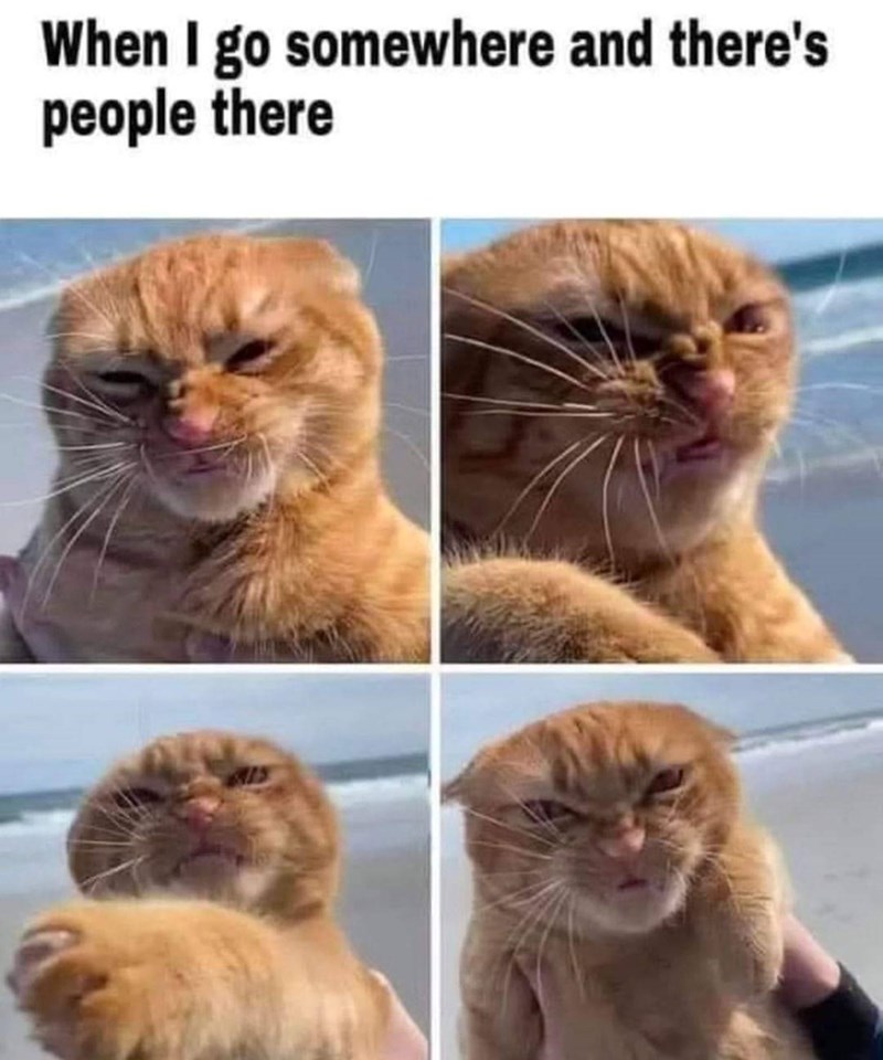 When I go somewhere and there's people there