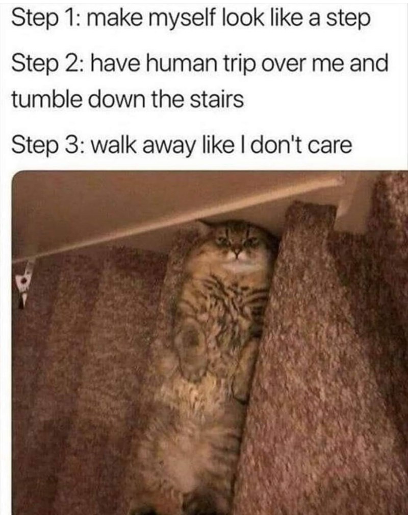 Step 1: make myself look like a step Step 2: have human trip over me and tumble down the stairs Step 3: walk away like I don't care