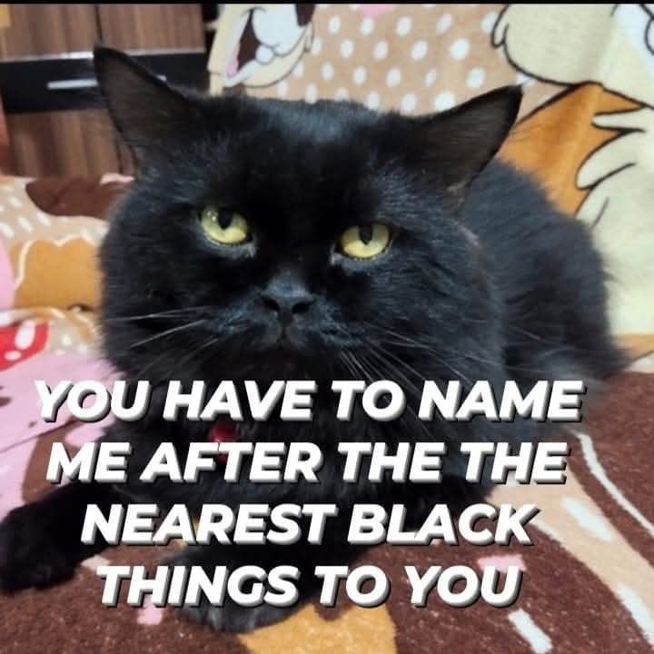 AN YOU HAVE TO NAME ME AFTER THE THE NEAREST BLACK THINGS TO YOU
