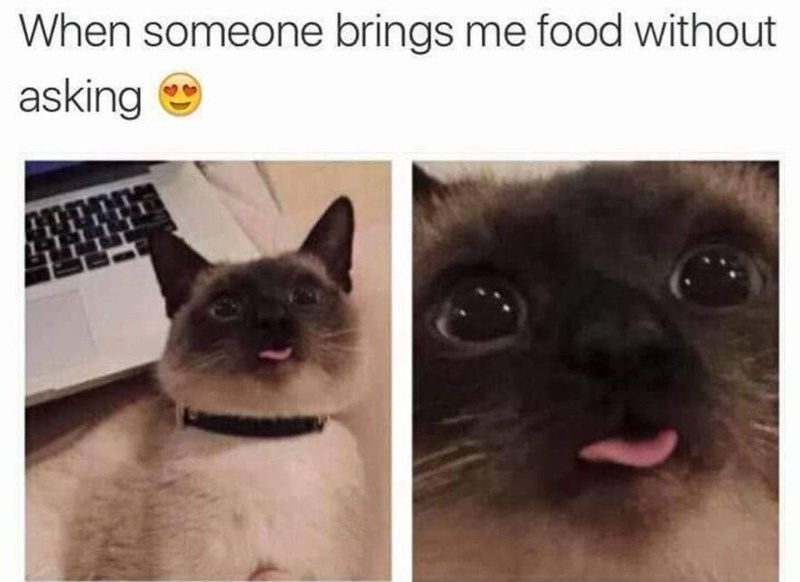 When someone brings me food without asking