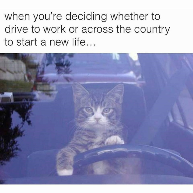 when you're deciding whether to drive to work or across the country to start a new life…..