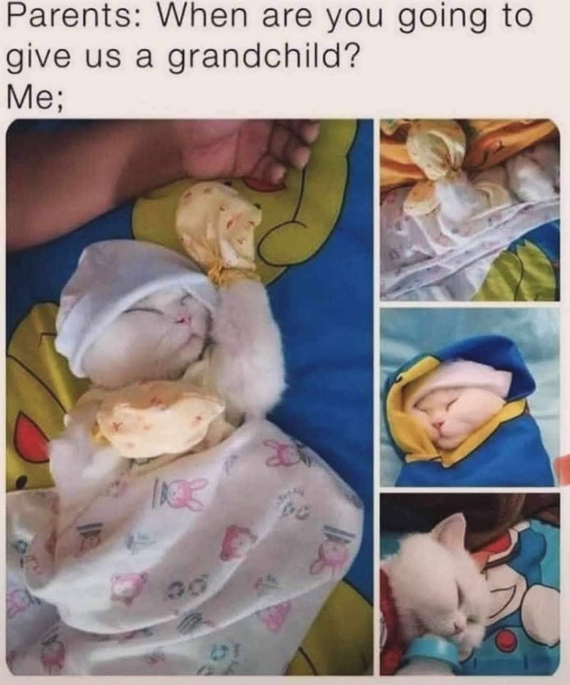 Parents: When are you going to give us a grandchild? Me; 00