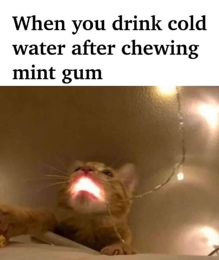 When you drink cold water after chewing mint gum