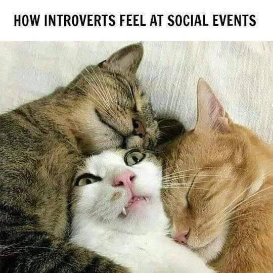 HOW INTROVERTS FEEL AT SOCIAL EVENTS