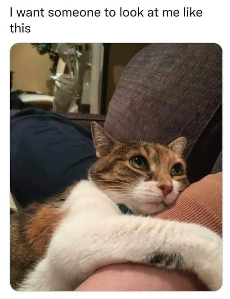 I want someone to look at me like this