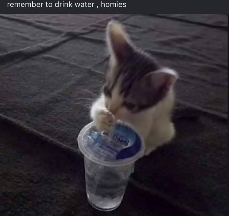 remember to drink water, homies