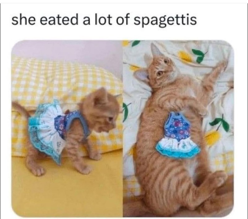 she eated a lot of spagettis