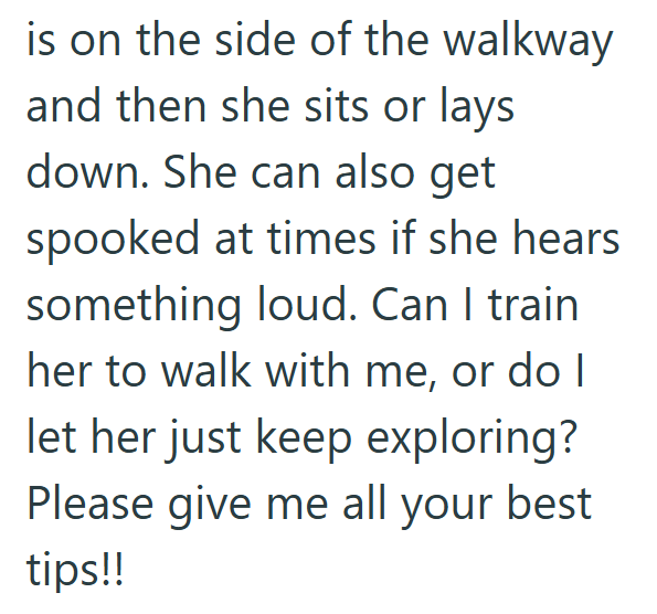 is on the side of the walkway and then she sits or lays down. She can also get spooked at times if she hears something loud. Can I train her to walk with me, or do I let her just keep exploring? Please give me all your best tips!!