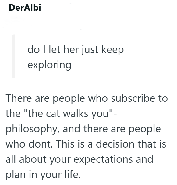 DerAlbi do I let her just keep exploring There are people who subscribe to the "the cat walks you"- philosophy, and there are people who dont. This is a decision that is all about your expectations and plan in your life.
