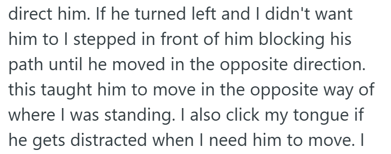direct him. If he turned left and I didn't want him to I stepped in front of him blocking his path until he moved in the opposite direction. this taught him to move in the opposite way of where I was standing. I also click my tongue if he gets distracted when I need him to move. I