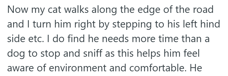 Now my cat walks along the edge of the road and I turn him right by stepping to his left hind side etc. I do find he needs more time than a dog to stop and sniff as this helps him feel aware of environment and comfortable. He