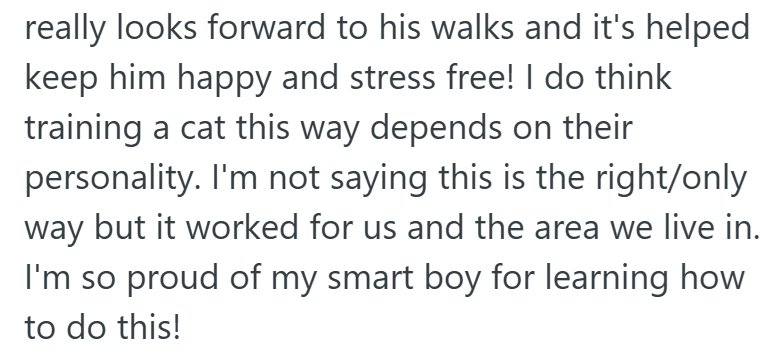 really looks forward to his walks and it's helped keep him happy and stress free! I do think training a cat this way depends on their personality. I'm not saying this is the right/only way but it worked for us and the area we live in. I'm so proud of my smart boy for learning how to do this!