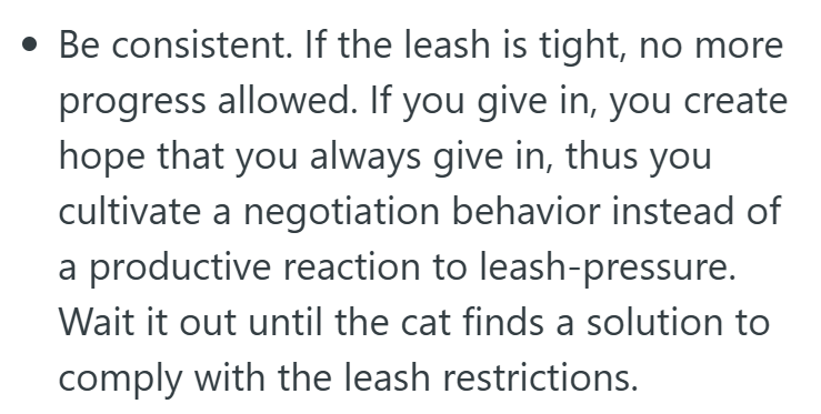 • Be consistent. If the leash is tight, no more progress allowed. If you give in, you create hope that you always give in, thus you cultivate a negotiation behavior instead of a productive reaction to leash-pressure. Wait it out until the cat finds a solution to comply with the leash restrictions.