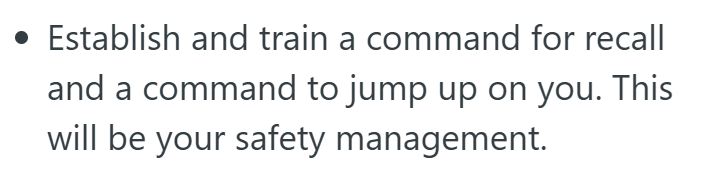 • Establish and train a command for recall and a command to jump up on you. This will be your safety management.