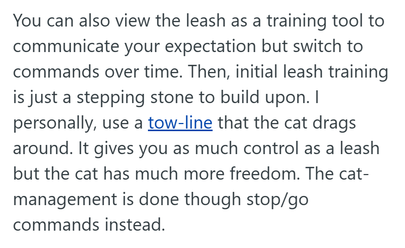 You can also view the leash as a training tool to communicate your expectation but switch to commands over time. Then, initial leash training is just a stepping stone to build upon. I personally, use a tow-line that the cat drags around. It gives you as much control as a leash but the cat has much more freedom. The cat- management is done though stop/go commands instead.
