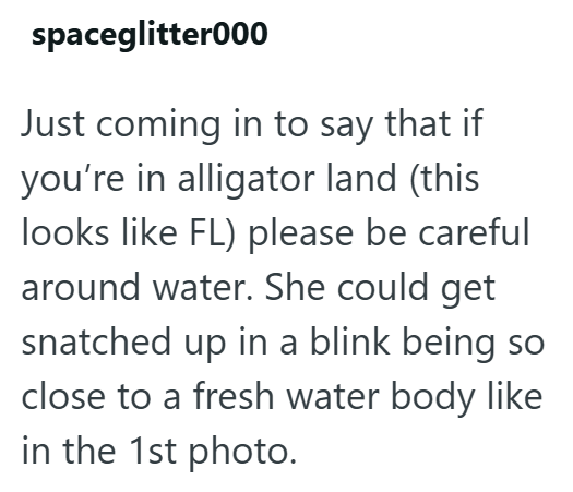 spaceglitter000 Just coming in to say that if you're in alligator land (this looks like FL) please be careful around water. She could get snatched up in a blink being so close to a fresh water body like in the 1st photo.
