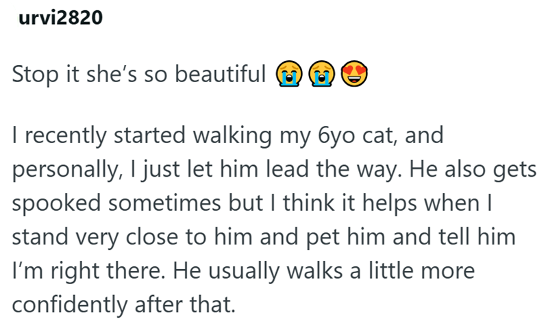urvi2820 Stop it she's so beautiful I recently started walking my 6yo cat, and personally, I just let him lead the way. He also gets spooked sometimes but I think it helps when I stand very close to him and pet him and tell him I'm right there. He usually walks a little more confidently after that.
