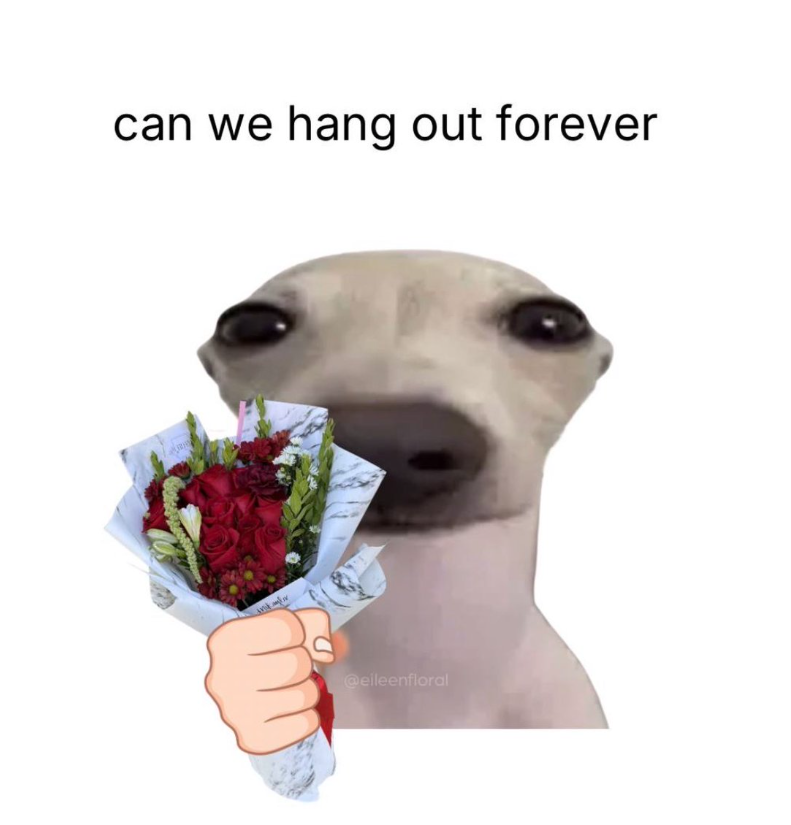 can we hang out forever @eileenfloral