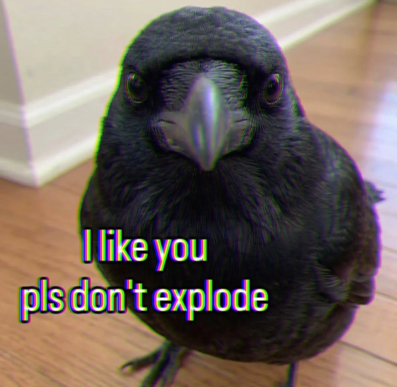 I like you pls don't explode